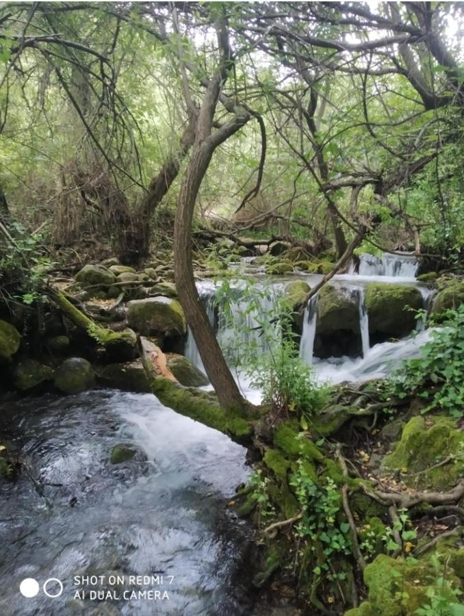 Alojamientos Sierra De Cadiz Benamahoma Exterior photo